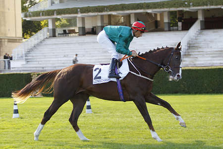 Actualités Hippiques